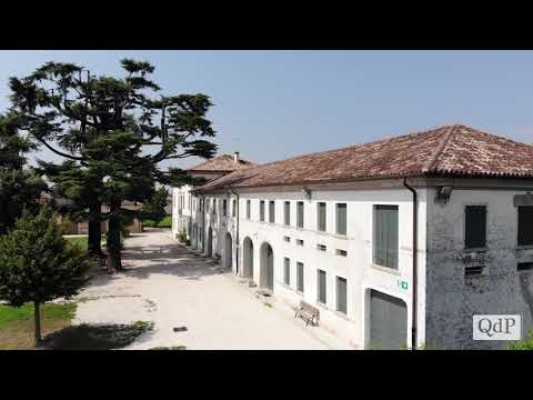 Video: Villa Letizia opis i fotografije - Italija: Livorno