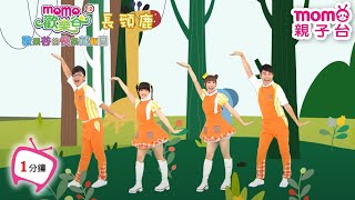 歡樂谷【專輯12】► 02 . 長頸鹿【1分鐘MV】唱跳歌曲｜兒歌童謠｜兒童律動｜幼兒舞蹈｜小孩音樂曲目｜帶動唱｜電視台｜跳舞｜一分鐘【親子台｜官方HD】momokids 