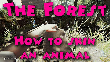 The Forest - How to skin an animal