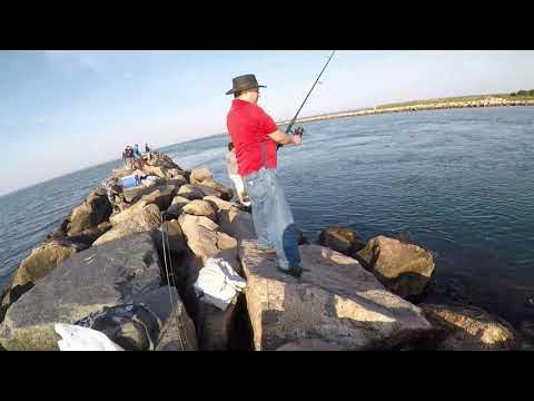 Cape Cod 2021 pesca de mojarras 