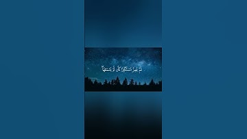 القارئ محمد اللحيدان(ويل لكل أفاك أثيم) Reader Mohammed Al-Luhaidan