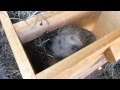 Harry Hedgehog explores his new Hog-box