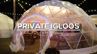 A Holiday Party You'll Never Forget  | Snowcat Ridge