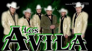 Los avila mix corridos y huapangos