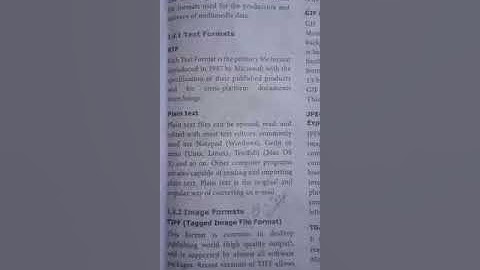 12th computer application multimedia-file formats (EM) by SA