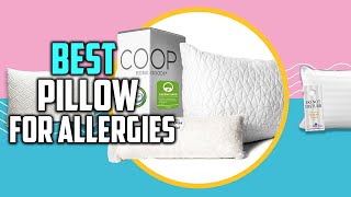 Top 7 Best Pillow for Allergies Review in 2023
