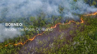 Borneo: Inside The Palm Oil Island screenshot 1