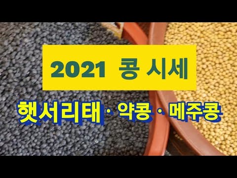  Update New  화순 5일장 2021 햇서리태ㆍ쥐눈이콩ㆍ메주콩 시세, 햇 콩 구매시기