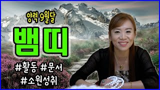 2020년 양력 9월달 뱀띠운세 / 활동/ 소원발원/문서