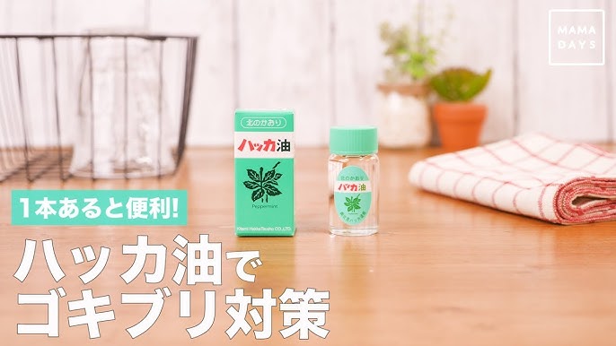Let S Prevent Bad Breath With Peppermint Oil ハッカ油で口臭対策をしよう Youtube Let S Prevent Bad Breath With Peppermint Oil ハッカ油で口臭対策をしよう Youtube