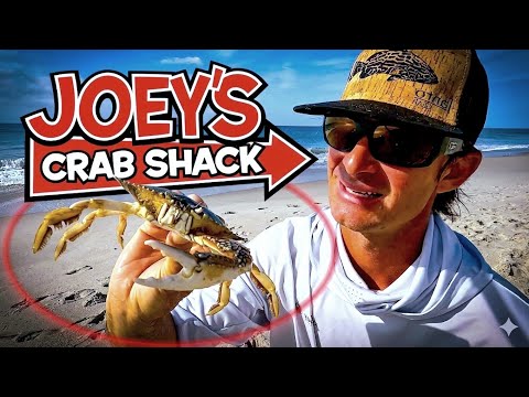 Have You Tried This Bait Beach Fishing? | Pompano