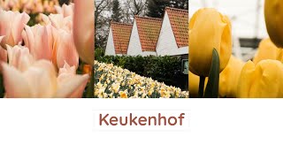 Keukenhof 荷蘭庫肯霍夫 🇳🇱 l 全世界最大的鬱金香花季 🌷