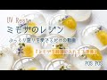 【UV Resin】ミモザのレジンをぷっくりさせる動画 (ミモザの下準備のコツあり）