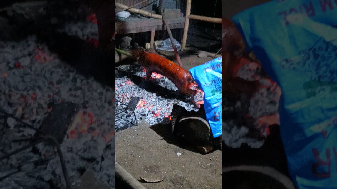 Lechon delicious pig  . PH