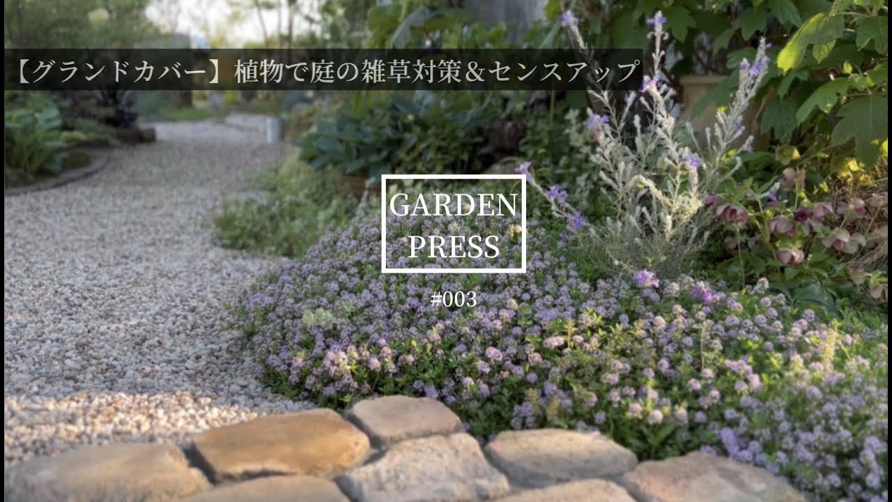 グランドカバー 寒さに強く常緑で手間いらずな植物9選 Garden Press