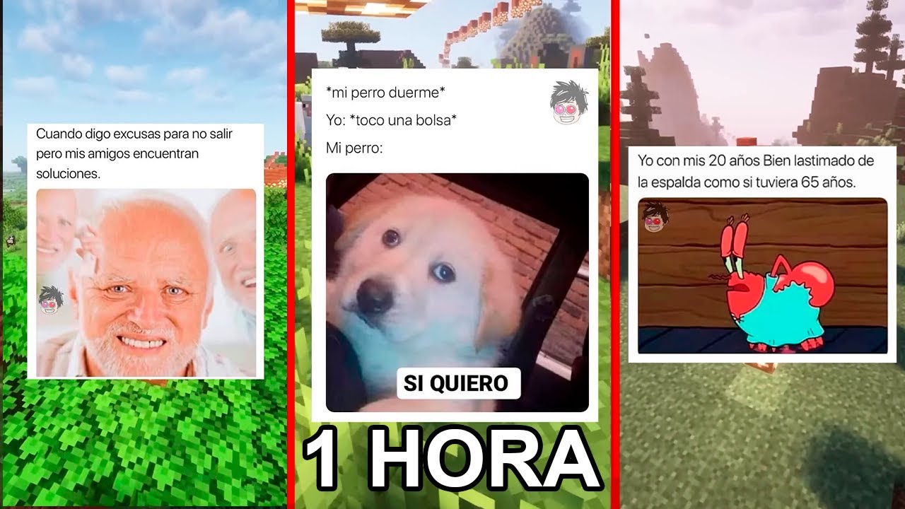 1 HORA DE MEMES PARA REIR SIN CESAR