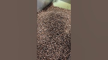 Need ammo? 🫠 #guns #youtubeshorts #trending #music #funnyvideo #new #ammo #memes