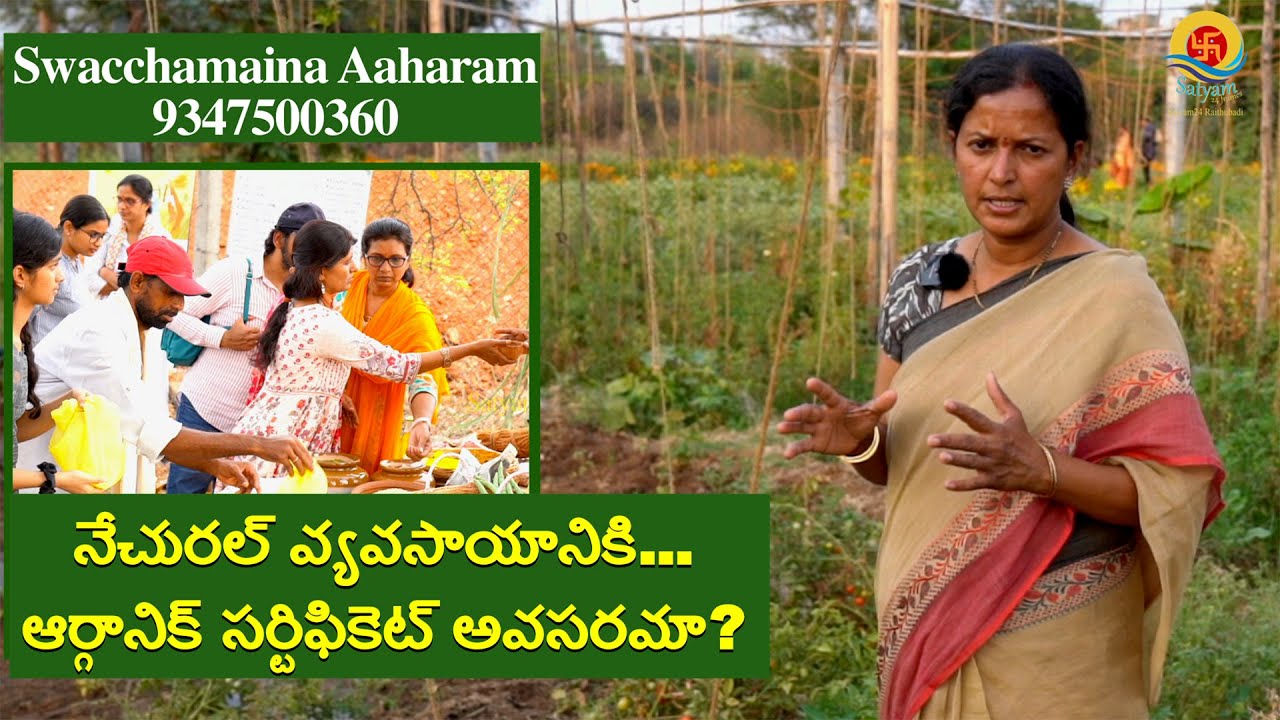 నేచురల్ వ్యవసాయానికి...ఆర్గానిక్ సర్టిఫికెట్ అవసరమా? I Swachamayina AaharamI Satyam24 Raithubadi