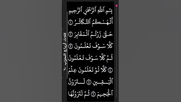 سورة التكاثر بصوت القارئ الشيخ عبد الرحمن السديس