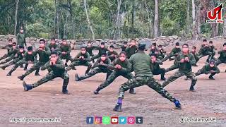 Ulfa I Release Video 2026