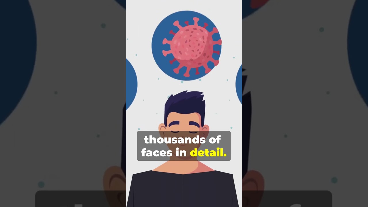 Why Your Brain Is a Face-Recognizing Machine 🧠👤