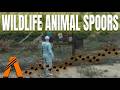 GTA V FiveM Wildlife Spoors Script (2026) | Full Control • Standalone • ESX/QBCore