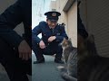 お巡りさんが猫に「ツナ缶、食べたの？」と聞くと・・ #猫おもしろ # #funnycat # #funnyvideo
