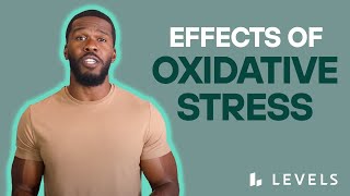 How Oxidative STRESS Affects Metabolic Health, and How Can Antioxidants Help REDUCE Imbalances
