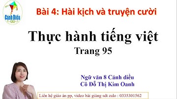Thực hành tiếng việt: Nghĩa tường mình và hàm ẩn trang 85- ngữ văn 8- cánh diều