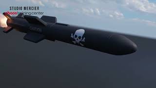 Missile Phoenix FD  Studio Mercier   FR