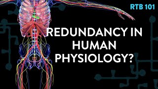 Famous RTB 101: Redundancy in Human Physiology? Wealth
