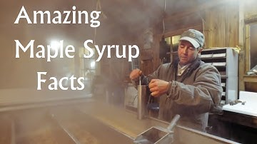 Amazing Maple Syrup Facts