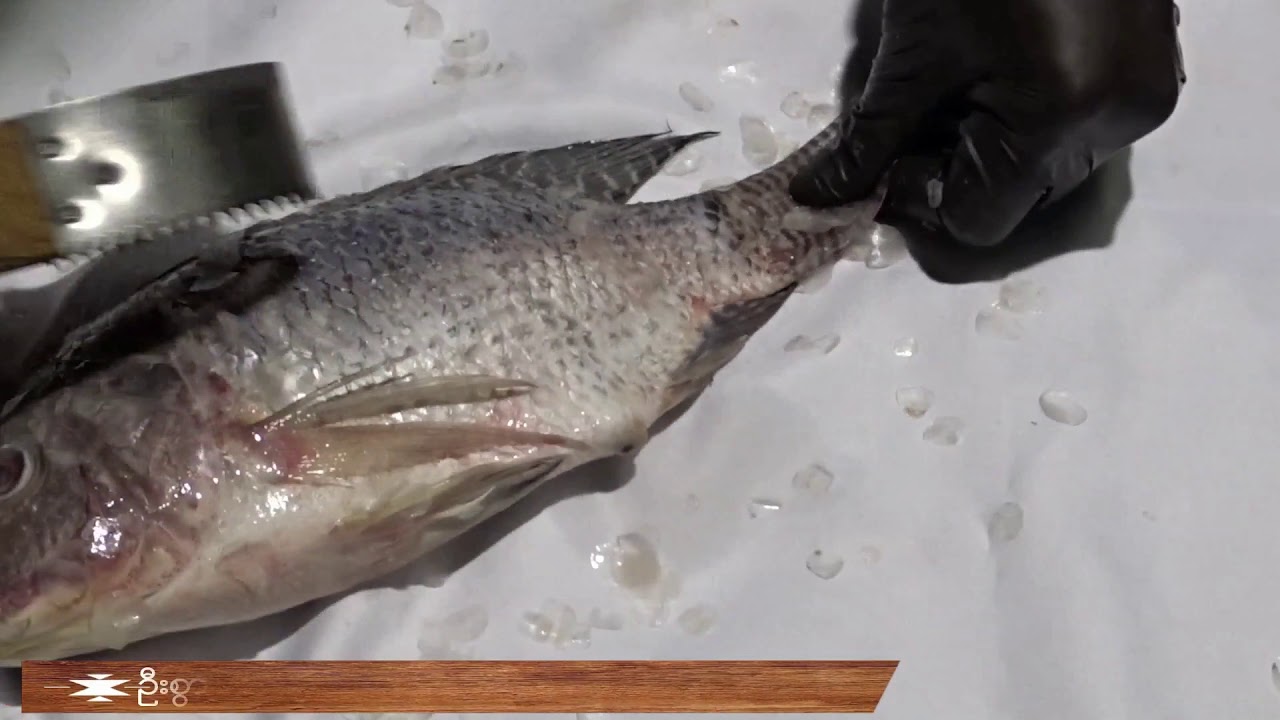 ငါးေကာင္လံုး၊ ငါးသားလႊာ ႏွင့္ ငါးေခါင္း ၿပင္ဆင္ကိုုင္သ ြယ္ သိုေလွာင္ပံု။