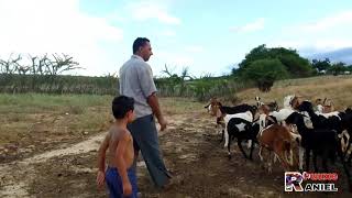 Clipe de AELSON BATISTA A vida de um nordestino