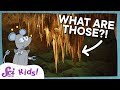 What are Stalactites and Stalagmites? | Let&#39;s Explore Caves! | SciShow Kids