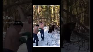 This Bear helps men to EXERCISE in snow amazing shorts funny viral