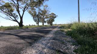 Moto Randomness Ep4 Fly by- CF Moto 650NK (test) #SCProject