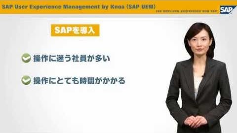 SAP User Experience Management by Knoa360P