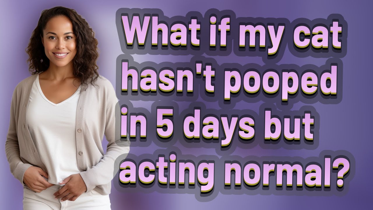 What if my cat hasn't pooped in 5 days but acting normal? - YouTube