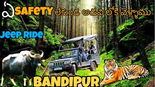 పులి కోసం వేట 🐯| Bandipur Safari | Bandipur tiger reserve