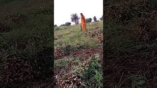 #shortsfeed #shortvideo #shortsvideo #shorts #shortsviral #short