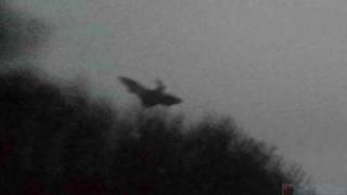 Man Photographed Jersey Devil in Pennsylvania