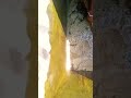 video viral kro do bahi log tranding star ⭐ #plumbingtime #pipelining tanki 1500 litars sfaai