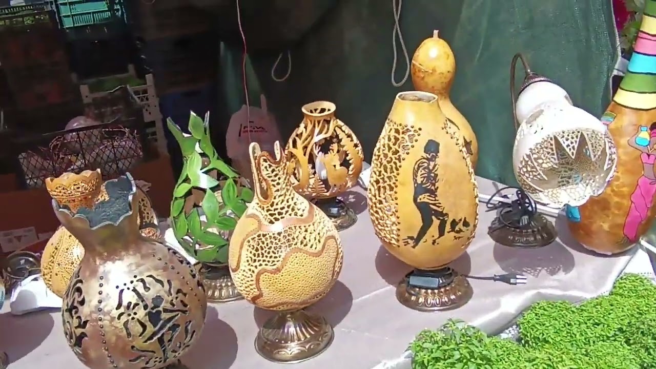 Bayındır Çiçek# Festivali Gezimiz Çiçek sardunya# begonvil #plants #keşfet #keşfetbeniöneçıkar #🌺🌹🇹🇷