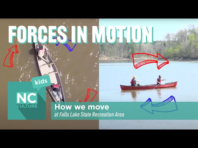 Forces and Motion: How We Move at Falls Lake State Recreation Area class=