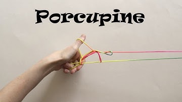 Porcupine String Figure