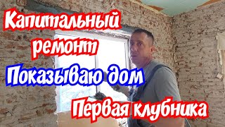 Капитальный ремонт дома. Просили, показываю. Первая клубника.