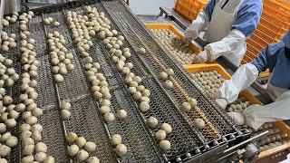 Dumpling Factory's Cheese Dumpling Making | Korean Street Food
