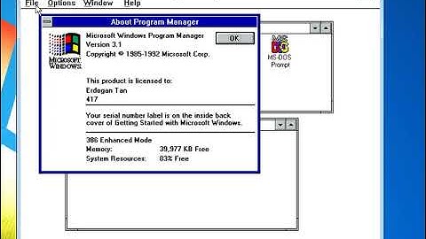 Retro DOS Version 4.2 QEMU Windows 3.1 Demo