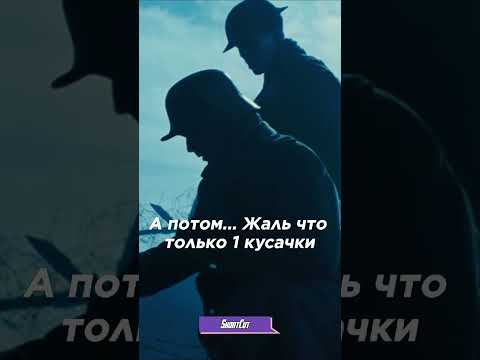 Солдаты спасли лошадь, застрявшую в колючей проволоке… 🐎🥺